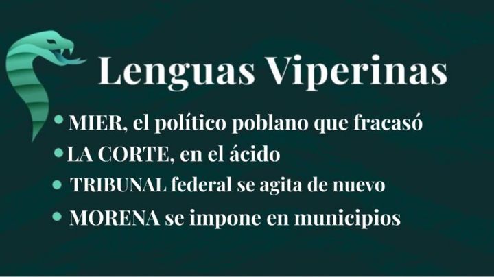 Lenguas Viperinas