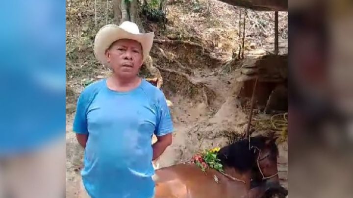 Muere caballo que ayudó en incendio forestal de Tuxpanguillo, Veracruz