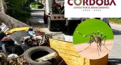 Concluye en Córdoba la primera etapa de la campaña de descacharrización contra el dengue