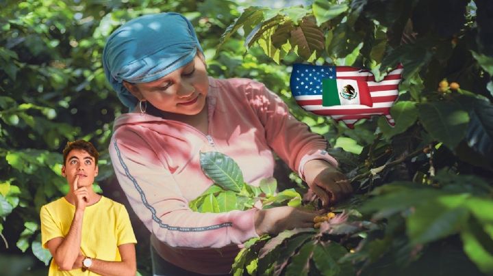 El origen de la palabra "chamba"