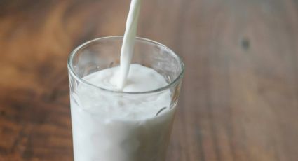 Leche que no es leche: Estas son las marcas que no cumplen y son las más caras según Profeco