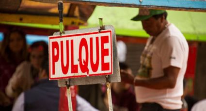 Se acerca la feria de la barbacoa y pulque en Villa del Carbón