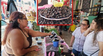 Nucú: el “caviar chiapaneco” que siembra terror en Tamaulipas y cuesta 1,500 pesos el kilo