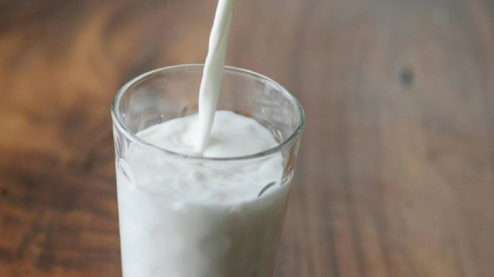Leche que no es leche: Estas son las marcas que no cumplen y son las más caras según Profeco