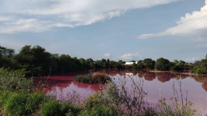 ¡Qué Extraño!: Una presa de San Pancho amaneció con el agua rosa