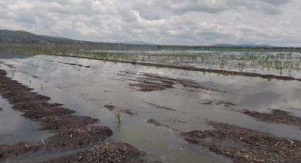 Laguna de Zumpango: este es el plan para su rescate