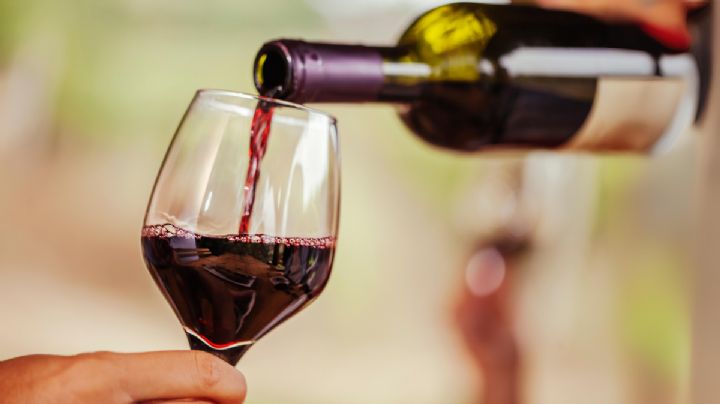 Ruta del Vino 2024 en Aguascalientes: ¿En qué fecha y horarios? Todo lo que debes saber