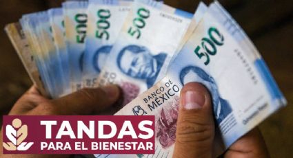 Guanajuato: Así puedes obtener un préstamo de hasta 20,000 pesos para tu negocio