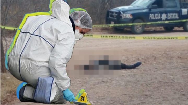 Mujer paseaba con sus perros en Mineral de la Reforma y descubre cuerpo semi enterrado