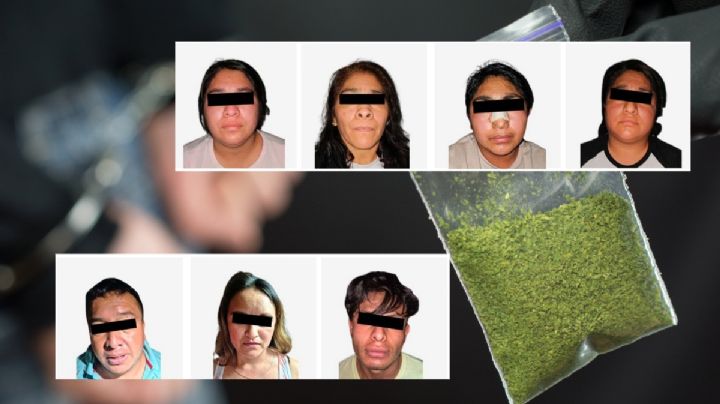 Capturan a 7 narcomenudistas con más de 2,000 dosis en San Agustín Tlaxiaca