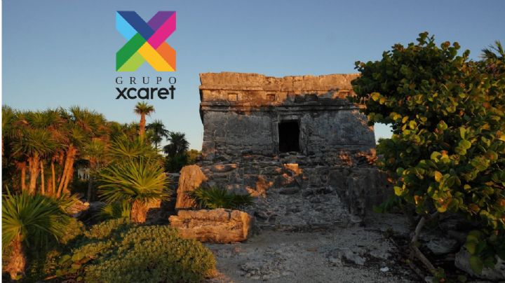 Grupo Xcaret deforestará 150,000 hectáreas de selva en Yucatán, advierte Greenpeace