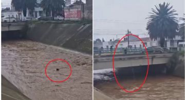 Cae persona a río de Tulancingo, es arrastrada