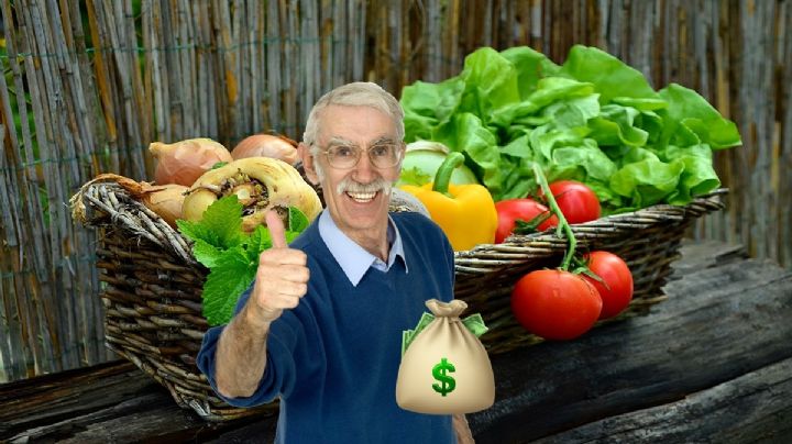 Así puedes recibir una despensa de más de 600 pesos en la CDMX