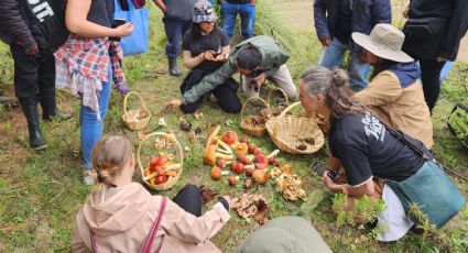 Habrá recolección de hongos comestibles en pueblito mágico de Hidalgo