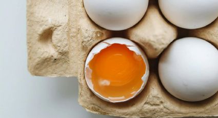 Huevo que sí es huevo: Estas son las marcas libres de hormonas, pero más caras según Profeco