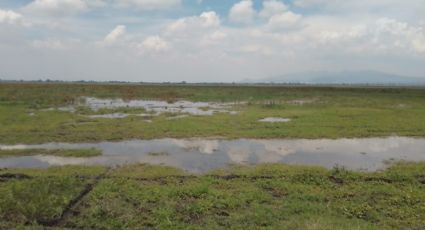 Rehidratación de la laguna de Zumpango desata disputa territorial en Edomex