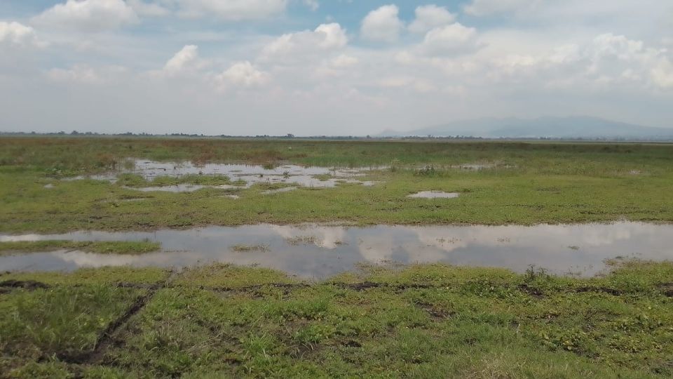 Lluvias desatan pelea por laguna de Zumpango en Edomex