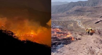 Veracruz rompió récord histórico de incendios forestales; la mayoría fueron provocados
