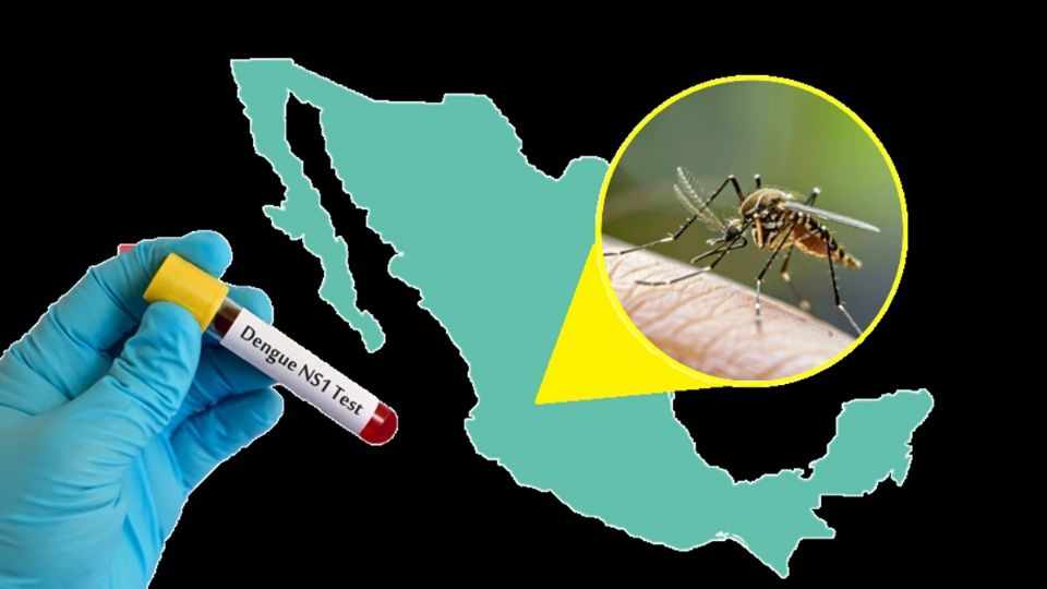 Contagios por dengue aumentan rápidamente en el país