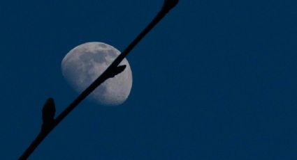 Luna Azul: Así podrás VER en agosto la primera superluna del año