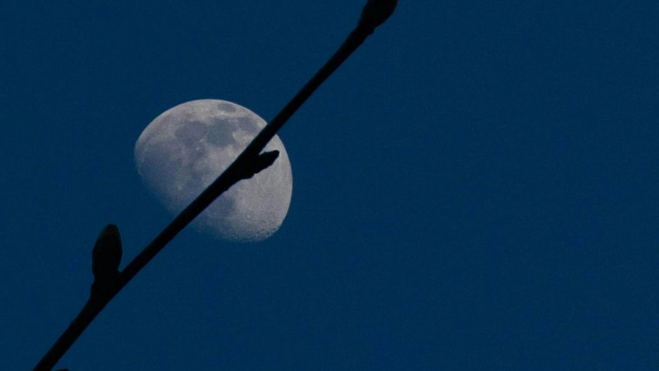 La primera Luna Azul o superluna será vista en agosto de 2024, después los días 17 de septiembre, 17 de octubre y 15 de noviembre