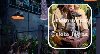 ¿Robo o fraude? La hipótesis detrás del dinosaurio mecánico de 2 millones robado en Perisur