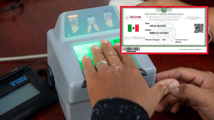 ¿Nuevo CURP para los mexicanos? Esto pasaría con este documento