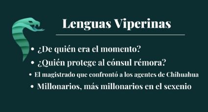 Lenguas Viperinas