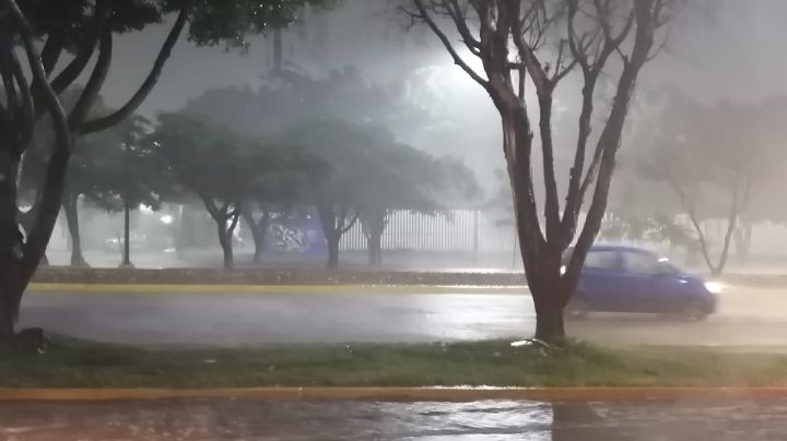 Autos: en tiempo de lluvias, estos son los puntos de seguridad no negociables