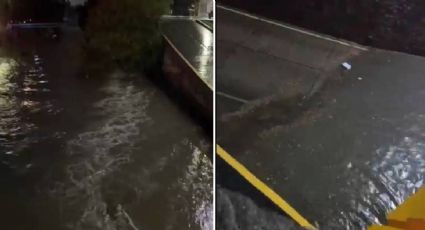 Intensa lluvia provoca inundaciones, árboles caídos, caos vial y zonas sin luz en  León