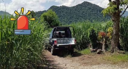 Localizan a hombre sin vida en zona de cañales del Valle de Tuxpango