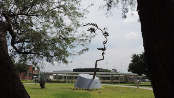 Árbol o rostro de mujer: La nueva ilusión óptica de Octavio Ocampo en Celaya