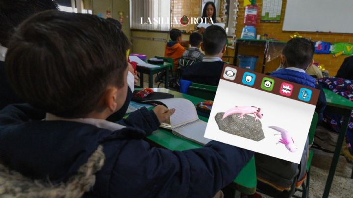 Estudiantes veracruzanos desarrollaron app para libros de texto con realidad aumentada