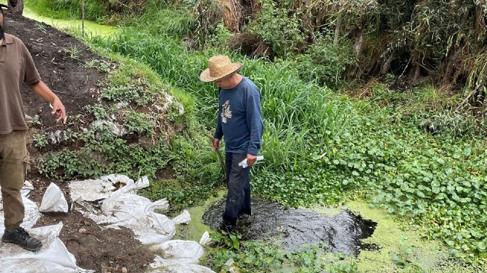 Ni las lluvias alivian efectos de la sequía en Xochimilco