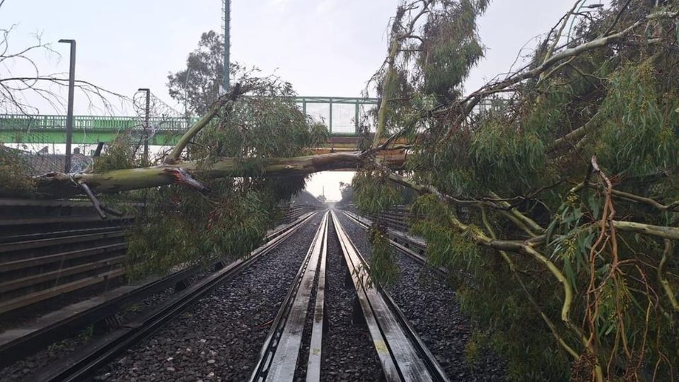 Metro Línea B: Por caída de árboles se suspende el servicio