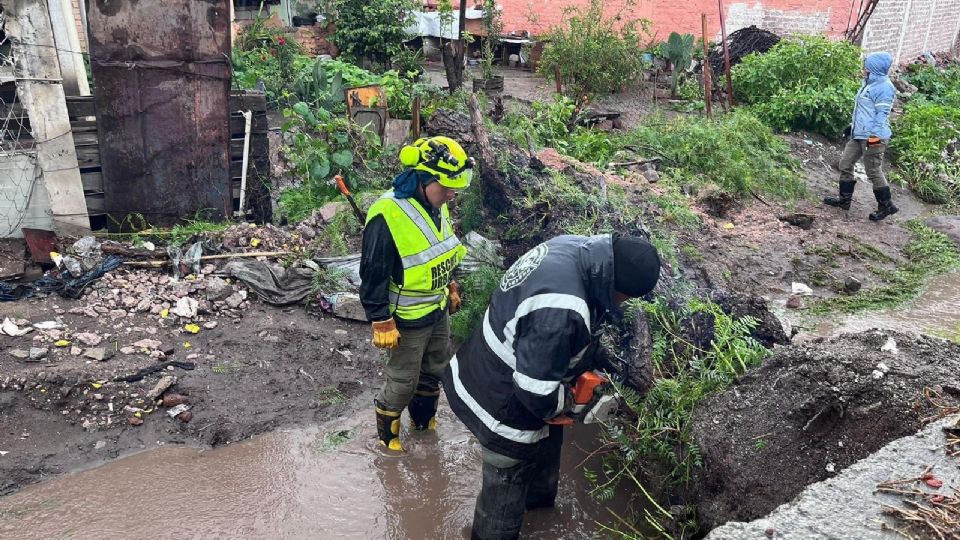 Alertan riesgo de deslave en Sierra de Guadalupe por falta de infraestructura de contención