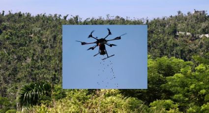 Alumnos del Tec de Coatzacoalcos reforestan Acapulco con drones tras Otis