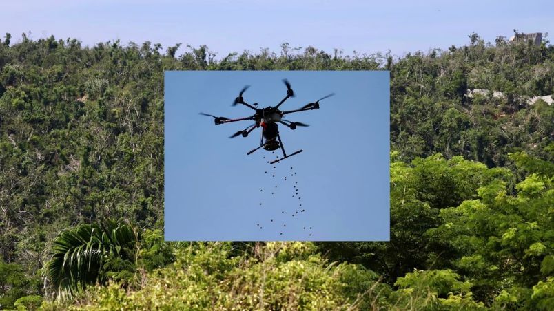 Alumnos del Tec de Coatzacoalcos reforestan Acapulco con drones tras Otis