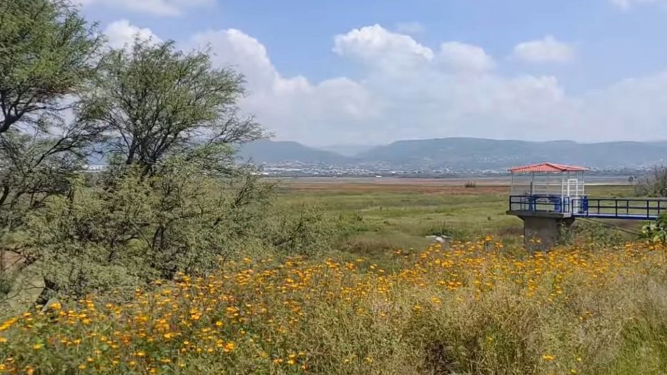 La presa de El Palote vista desde otro ángulo  en donde no se observa agua