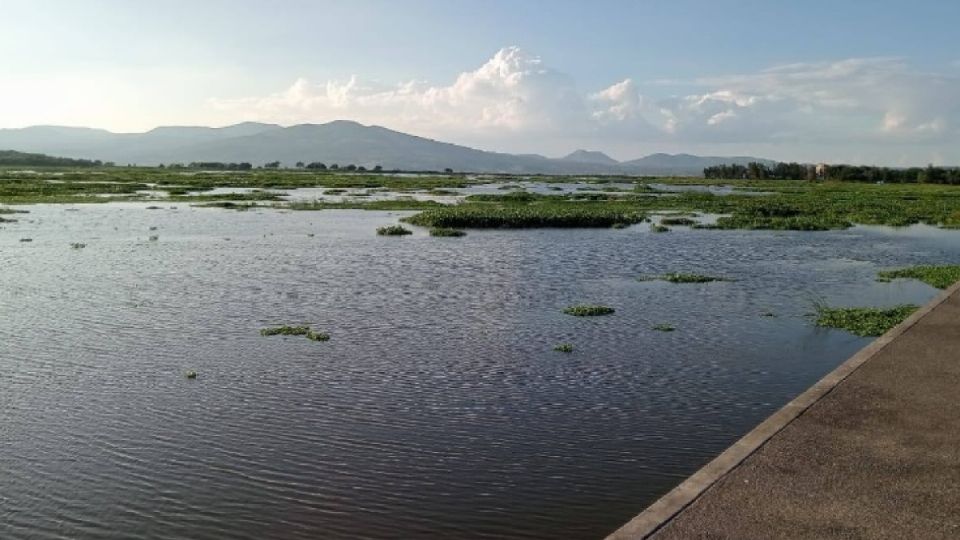 La Laguna de Yuriria ya está por encima del 60% de su capacidad.