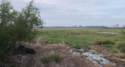 A principios de 2025 se empezará a llenar la presa de El Palote con agua tratada