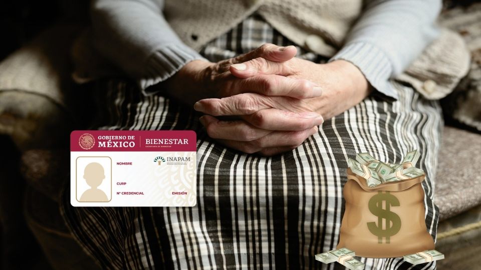 La Vinculación Productiva de las Personas Adultas Mayores busca promover empleos remunerados, así como actividades voluntarias que generen un ingreso para las personas adultas mayores.