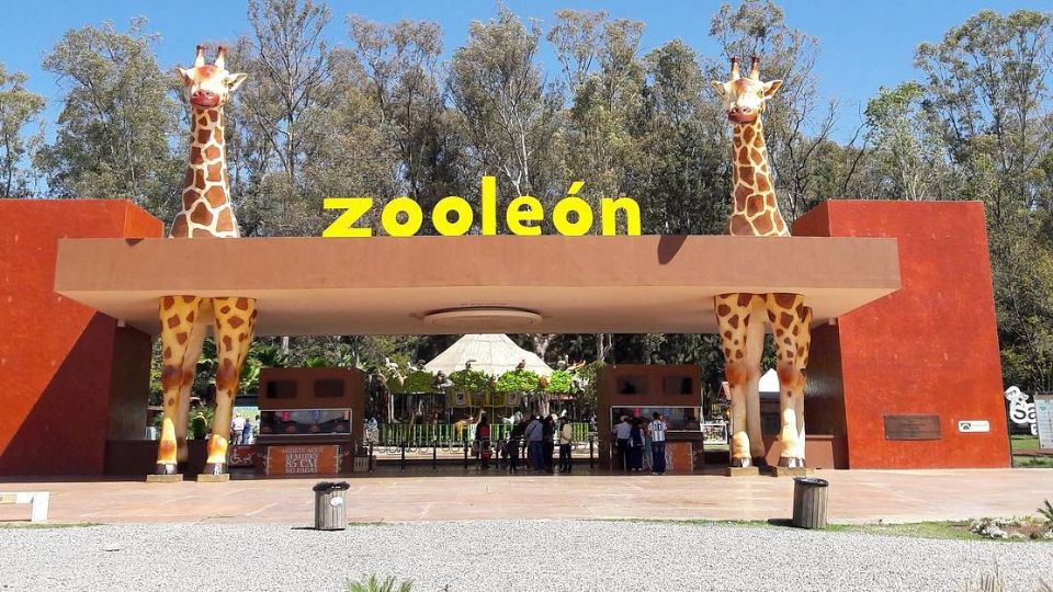 EL Zoológico de León se fundó el 19 de septiembre de 1979.