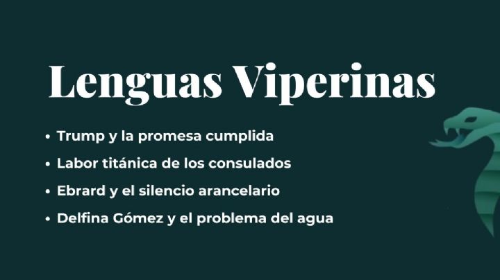 Lenguas Viperinas