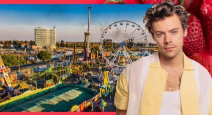 ¿Harry Styles en la Feria de las Fresas?