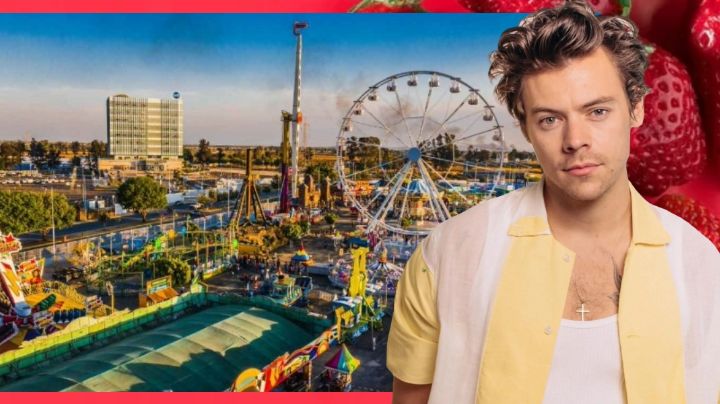 ¿Harry Styles en la Feria de las Fresas?