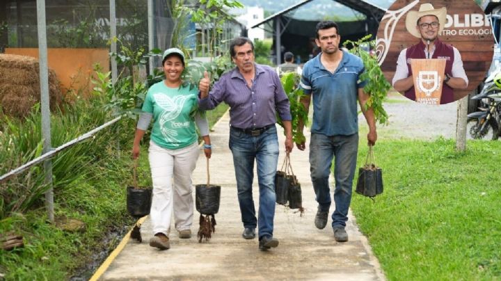 Apicultores de Emiliano Zapata reciben insumos para alimentar colmenas durante temporada de lluvias