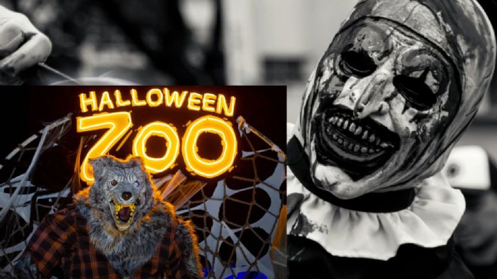 Arranca el Halloween Zoo: costos y actividades