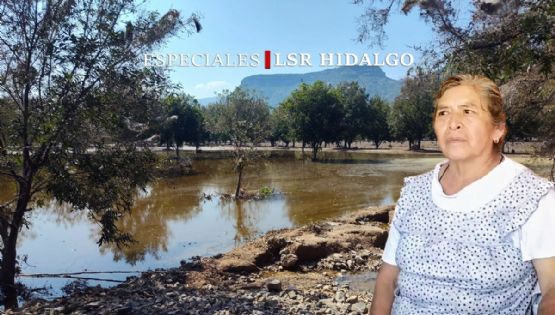 “¿Y ahora de qué vamos a vivir?”: campesinos de Metztitlán pierden todo tras las lluvias de Priscilla