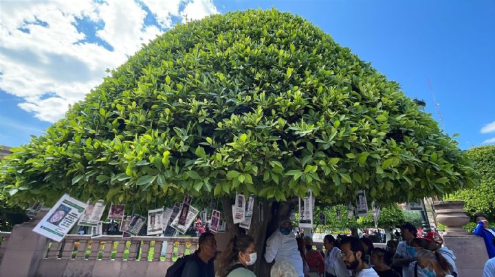 Reponen fichas de búsqueda en el "Árbol de la Memoria" de León, buscadoras piden respeto